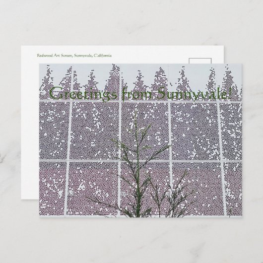 Carte Postale Greetings from Sunnyvale! (Devant / Derrière)