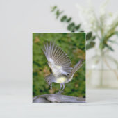 Carte Postale Grêle (Debout devant)