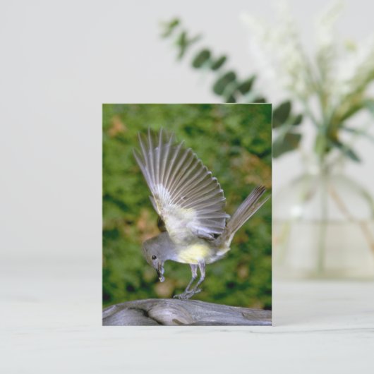 Carte Postale Grêle (Debout devant)