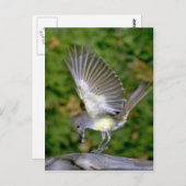 Carte Postale Grêle (Devant / Derrière)