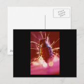 Carte Postale Grenade (Devant / Derrière)