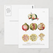 Carte Postale Grenade (Devant / Derrière)