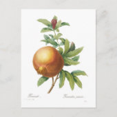 Carte Postale Grenade (Devant)