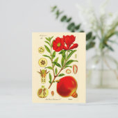 Carte Postale Grenade (Debout devant)