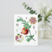 Carte Postale Grenade (Debout devant)