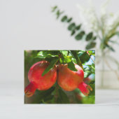 Carte Postale Grenade (Debout devant)