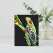 Carte Postale grenouille (Debout devant)