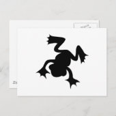Carte Postale Grenouille (Devant / Derrière)