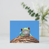 Carte Postale grenouille (Debout devant)