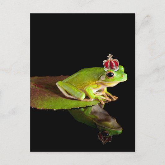 Carte Postale Grenouille (Devant)
