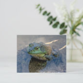 Carte Postale Grenouille (Debout devant)