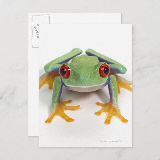Carte Postale Grenouille (Devant / Derrière)