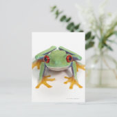 Carte Postale Grenouille (Debout devant)
