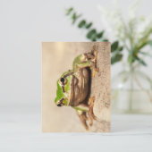 CARTE POSTALE GRENOUILLE (Debout devant)