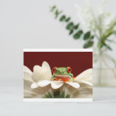 Carte Postale grenouille (Debout devant)