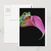 Carte Postale grenouille (Devant / Derrière)