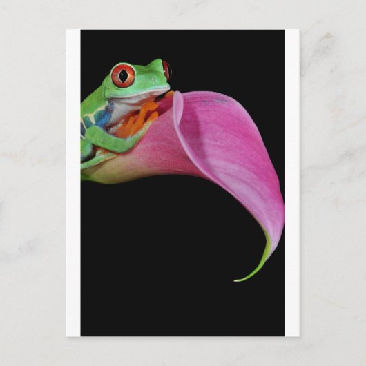 Carte Postale grenouille (Devant)