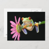 Carte Postale grenouille (Devant / Derrière)