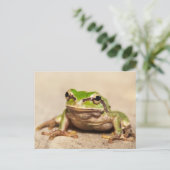 CARTE POSTALE GRENOUILLE (Debout devant)