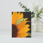 Carte Postale grenouille (Debout devant)