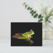 Carte Postale Grenouille (Debout devant)