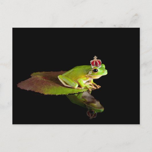Carte Postale Grenouille (Devant)