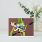 Carte Postale grenouille (Debout devant)