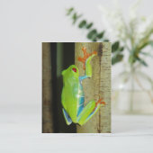 Carte Postale grenouille (Debout devant)