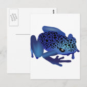 Carte Postale Grenouille (Devant / Derrière)