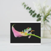 Carte Postale grenouille (Debout devant)