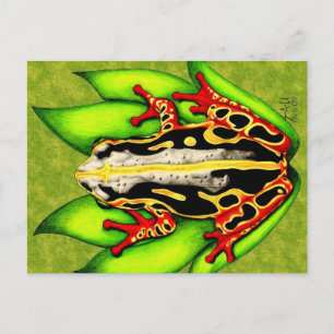 Carte Postale Grenouille à arbre noir et rouge