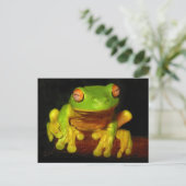 Carte Postale Grenouille à arbre rouge (Debout devant)