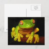 Carte Postale Grenouille à arbre rouge (Devant / Derrière)