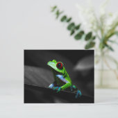 Carte Postale Grenouille à arbre rouge III (Debout devant)