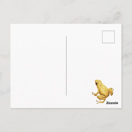 Carte Postale grenouille à fléchettes (Dos)