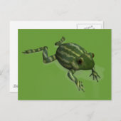 Carte Postale Grenouille à pastèque (Devant / Derrière)