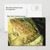 Carte Postale Grenouille à pattes rouges (Devant / Derrière)