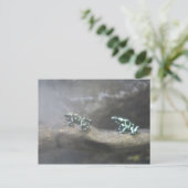 Carte Postale Grenouille à poison verte et noire # 6 (Debout devant)