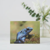 Carte Postale Grenouille à tarte à poison bleu (Debout devant)