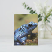 Carte Postale Grenouille à tarte à poison bleu (Debout devant)