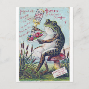Carte Postale Grenouille allemande de Hoyt