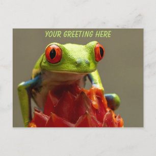 Carte Postale Grenouille arboricole personnalisée