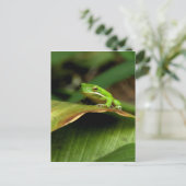Carte postale Grenouille Arbre (Debout devant)