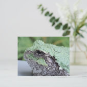 Carte postale Grenouille Arbre (Debout devant)