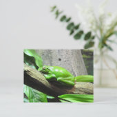 Carte postale Grenouille Arbre (Debout devant)