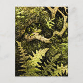 Carte Postale Grenouille Art Nouveau hollandaise dans l'arbre (Devant)