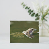 Carte Postale Grenouille assise dans l'eau (Debout devant)