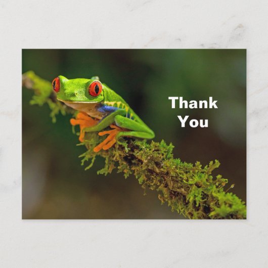 Carte Postale Grenouille aux yeux rouges Photo Merci (Devant)