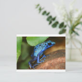 Carte Postale grenouille bleue (Debout devant)