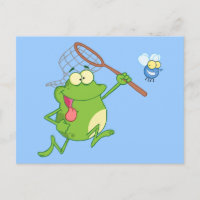 Grenouille Chasse Voler Avec Filet